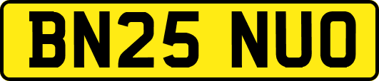 BN25NUO