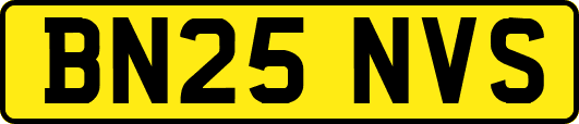 BN25NVS