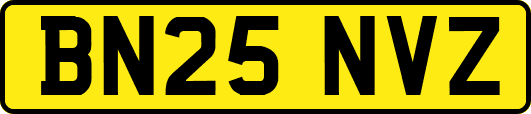 BN25NVZ