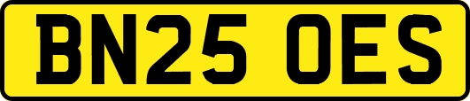 BN25OES