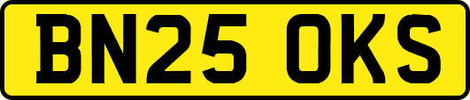 BN25OKS
