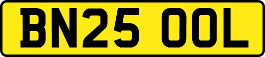 BN25OOL