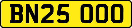 BN25OOO