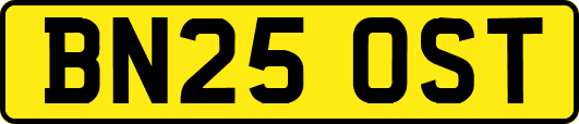 BN25OST