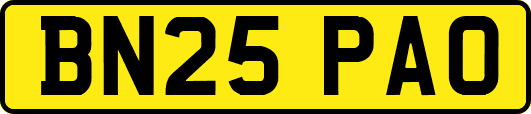 BN25PAO