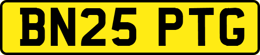 BN25PTG