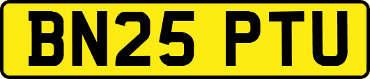BN25PTU