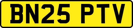 BN25PTV