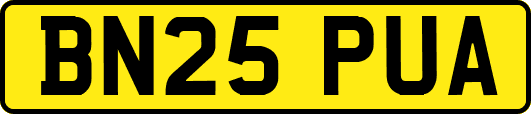 BN25PUA
