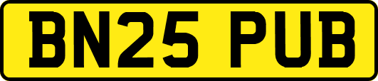 BN25PUB