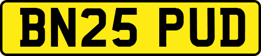 BN25PUD