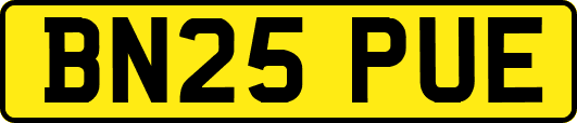 BN25PUE