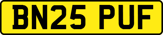 BN25PUF