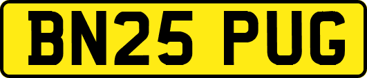 BN25PUG