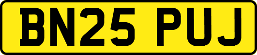 BN25PUJ