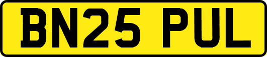 BN25PUL
