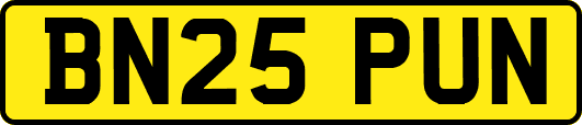BN25PUN