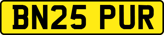 BN25PUR