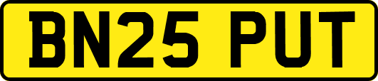BN25PUT