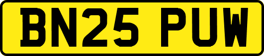 BN25PUW