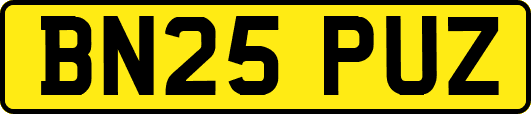 BN25PUZ