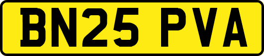 BN25PVA