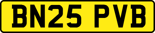 BN25PVB