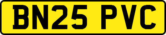 BN25PVC