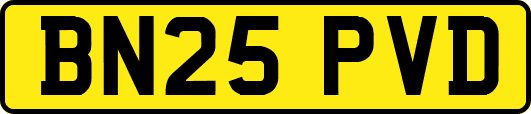 BN25PVD