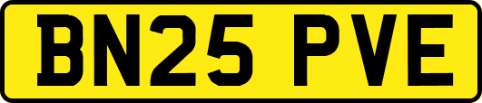 BN25PVE