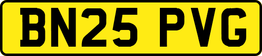 BN25PVG