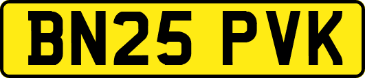 BN25PVK