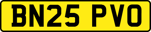 BN25PVO