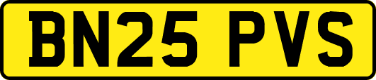 BN25PVS