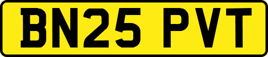 BN25PVT