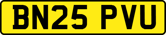 BN25PVU