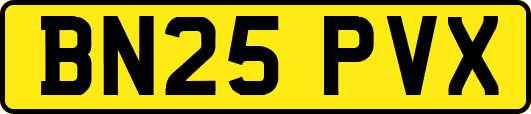BN25PVX