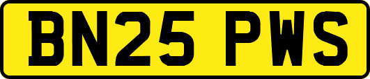 BN25PWS