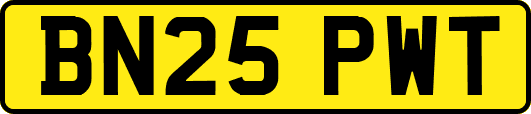 BN25PWT