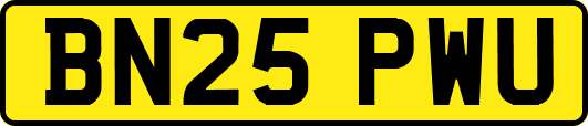 BN25PWU
