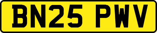 BN25PWV