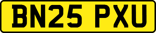 BN25PXU