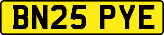 BN25PYE