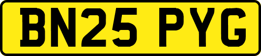 BN25PYG