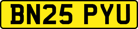 BN25PYU