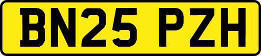 BN25PZH