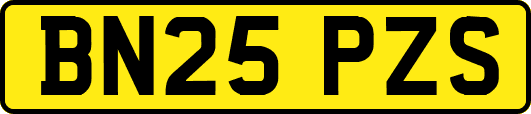 BN25PZS
