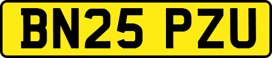 BN25PZU