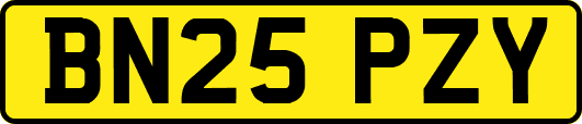 BN25PZY