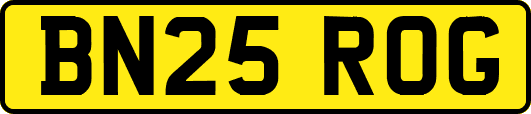 BN25ROG